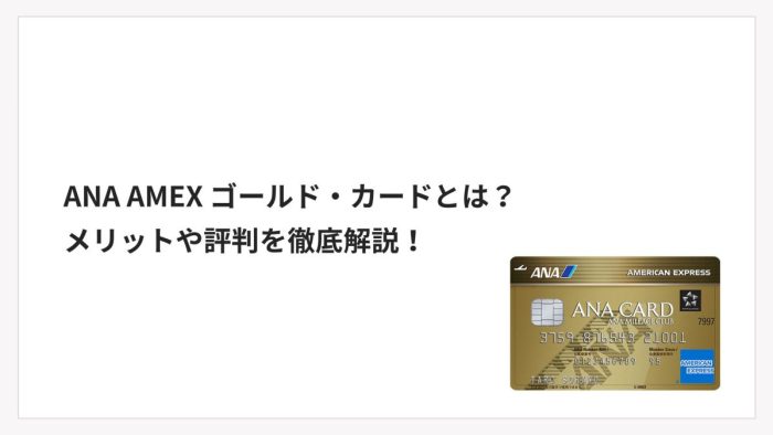 ANA AMEX ゴールド・カードとは?メリットや特徴・評判を解説!