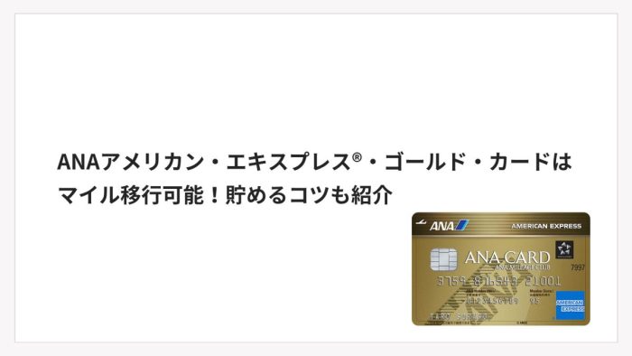 ANAアメリカン・エキスプレス®・ゴールド・カードはマイル移行可能！貯めるコツも紹介